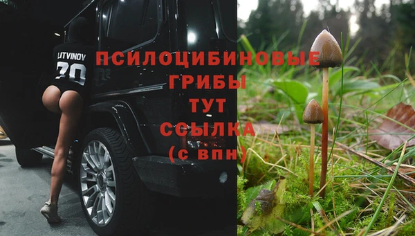 молекула духа Белокуриха
