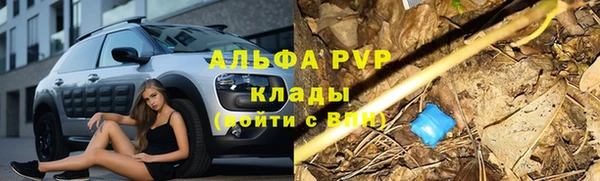 молекула духа Белокуриха